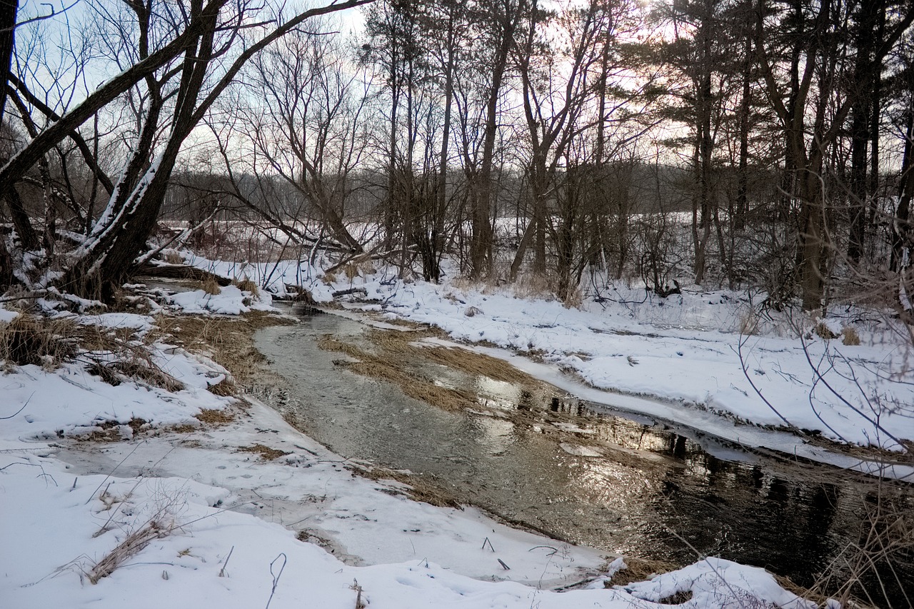 How to Paint a Rushing Stream in Acrylic